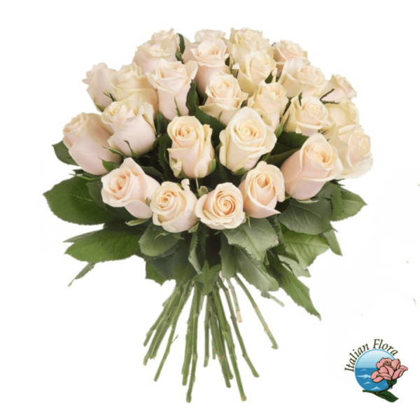 Bouquet of cream roses