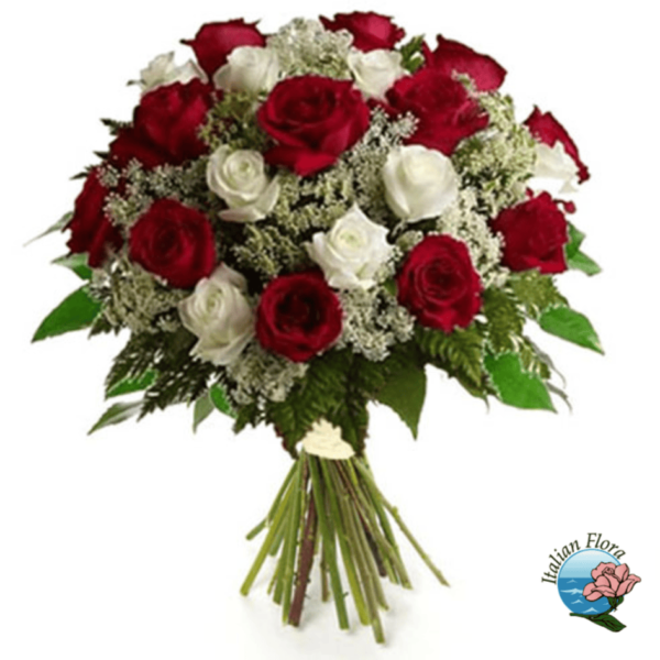 Red and white roses