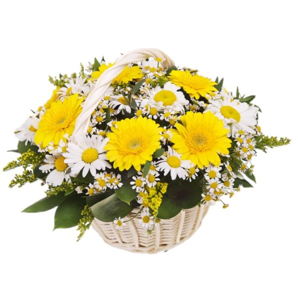 Buy Gerberas online with international delivery - home delivery