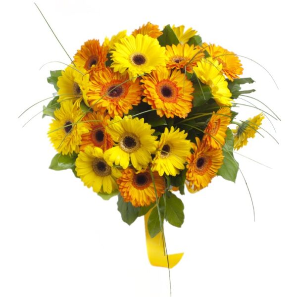 Buy Gerberas online with international delivery - home delivery