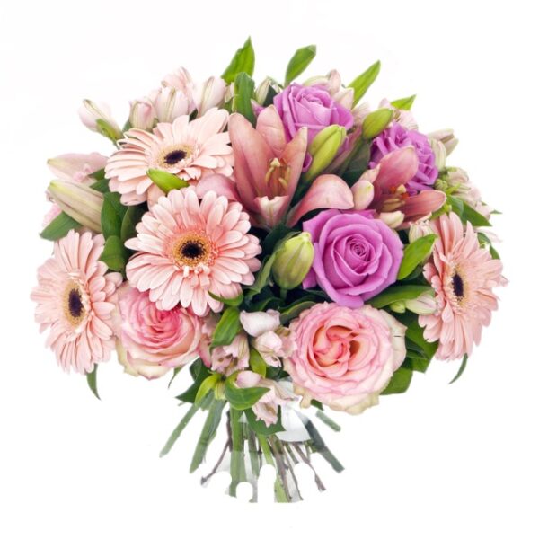 Buy Gerberas online with international delivery - home delivery