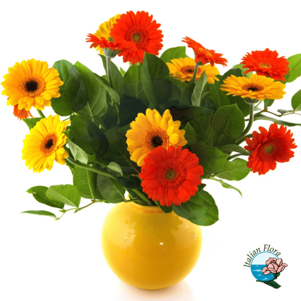 Vase arrangement of colourful gerberas