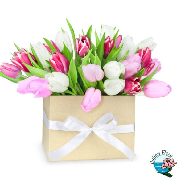 White and Pink Tulips