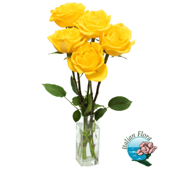 5 Yellow Roses