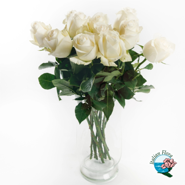 9 white roses