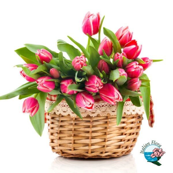 basket of hot pink tulips