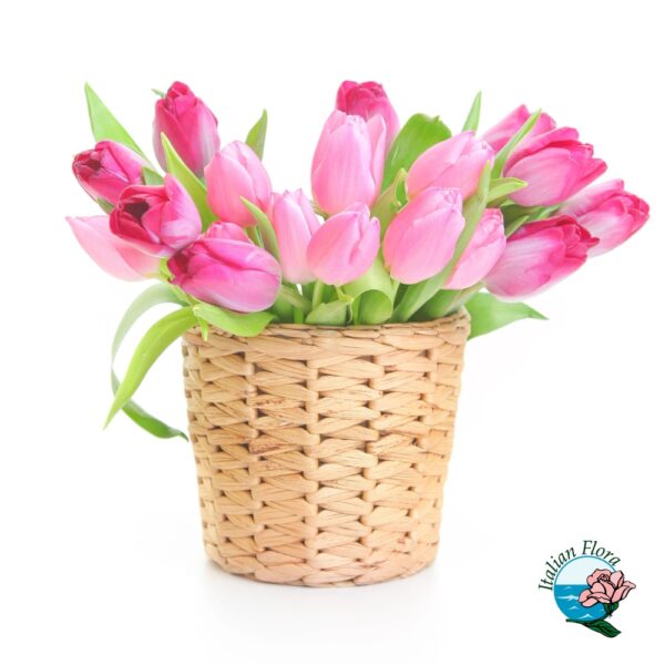 basket of light pink tulips