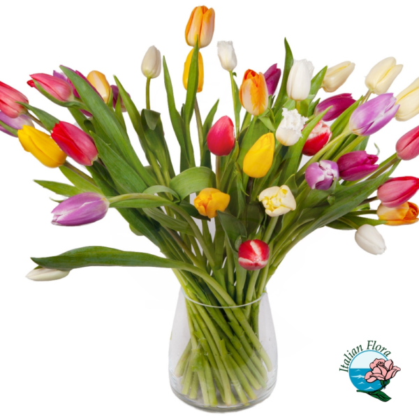 bouquet of 50 rainbow tulips