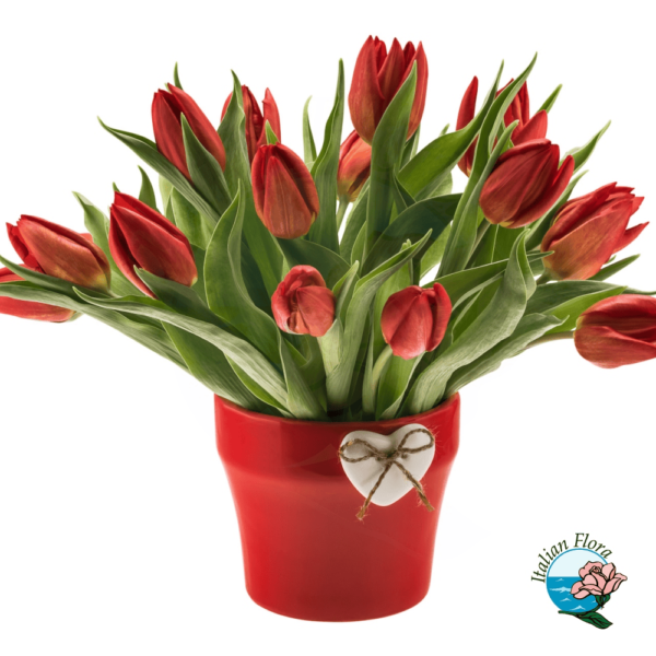 red tulips