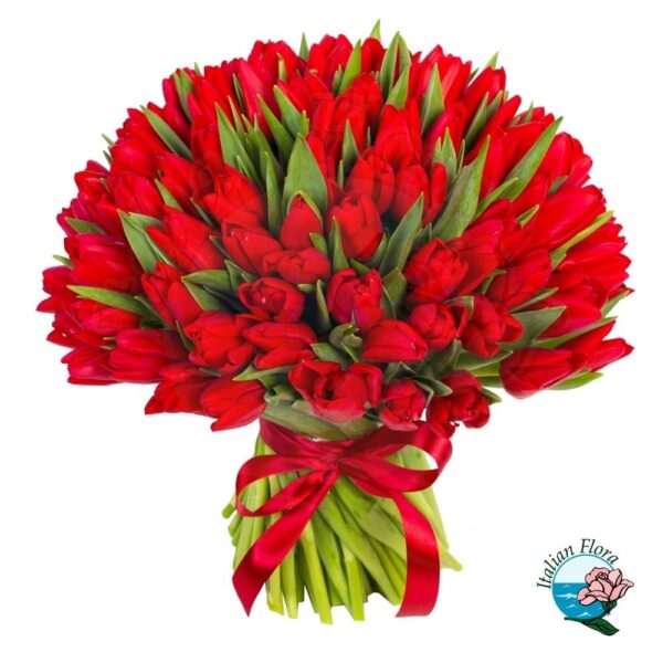 100 red tulips