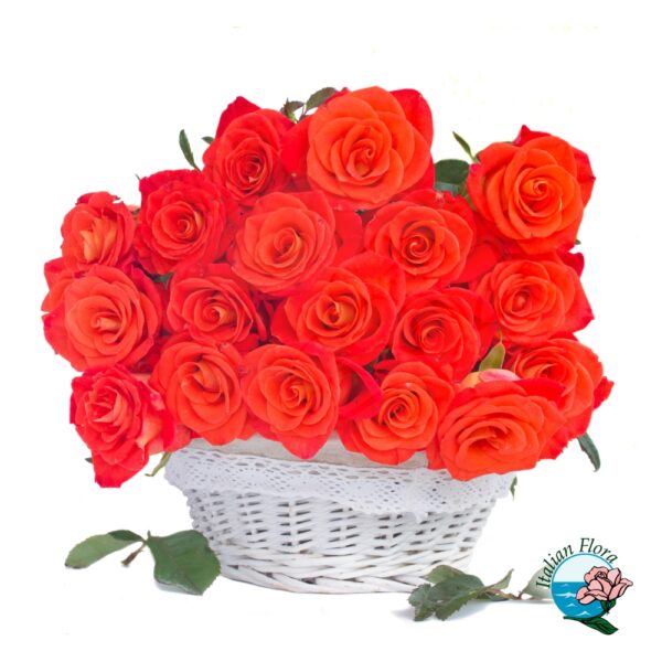 Basket of orange roses