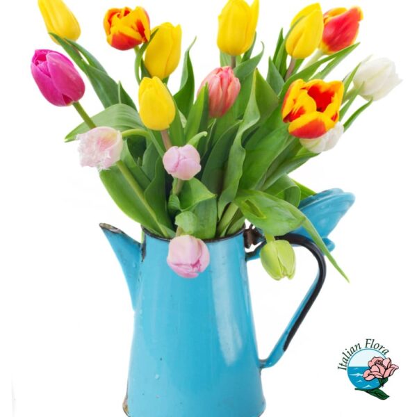 Bouquet of Colourful Tulips with Vase