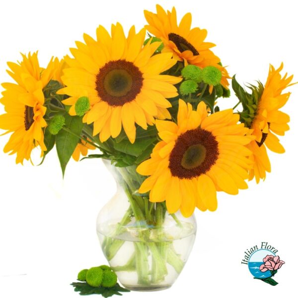 sunflowers in glass vase