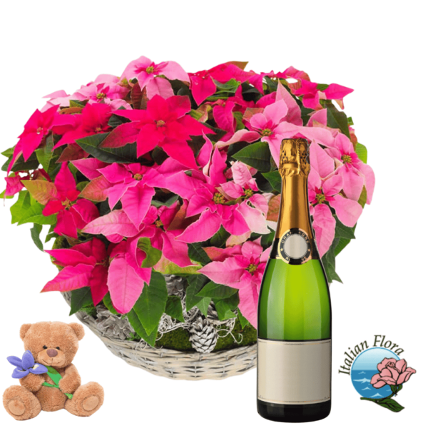 Basket of Christmas poinsettias with bottle of sparkling wine and teddy