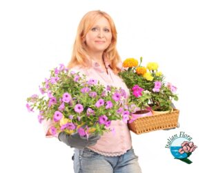 send flowering plants online